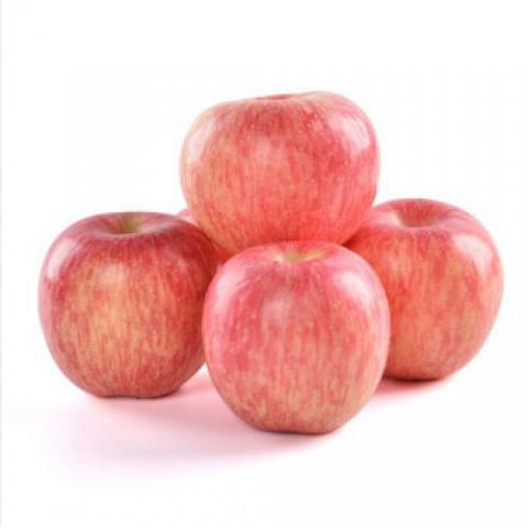 山东烟台栖霞红富士苹果水果新鲜当季 带箱10斤 大果 75-80mm